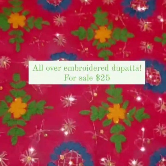 Punjabi Suit - Picture 2 of 2